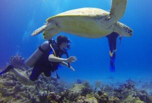Man having fun with marine creatures while scuba diving