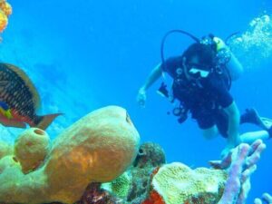 one of our client enjoying deep sea scuba diving